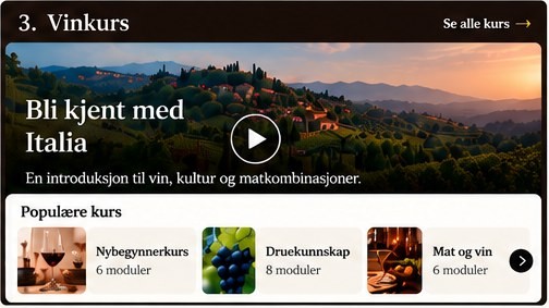 3. Vinkurs